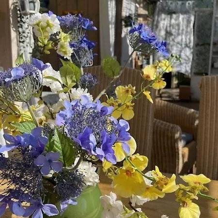 Vrijstaande Glamping De Kas Hank