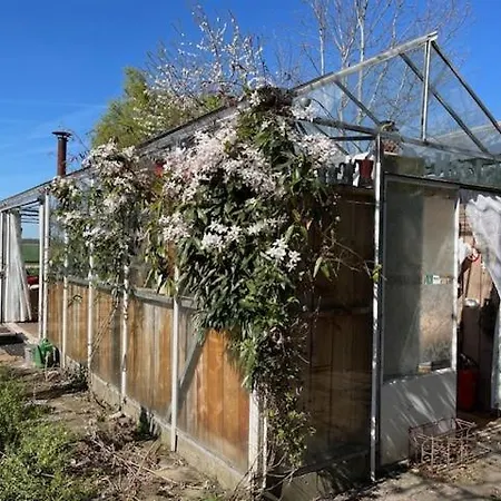 Semesterbostad Vrijstaande Glamping De Kas